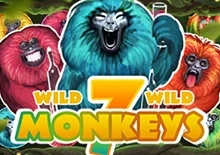 7 Monkeys